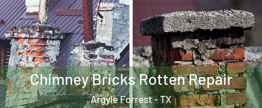 Chimney Bricks Rotten Repair Argyle Forrest - TX