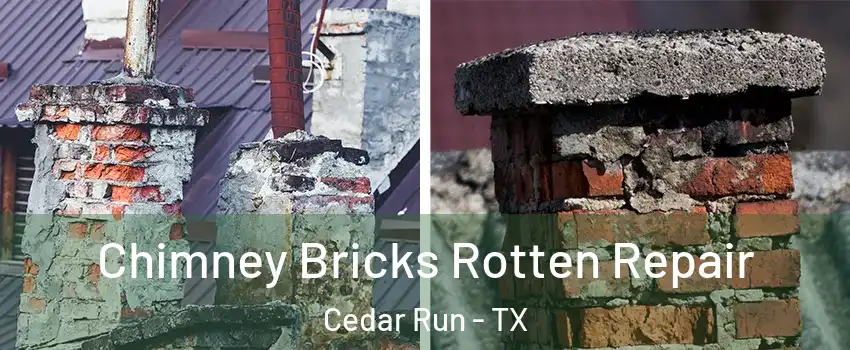 Chimney Bricks Rotten Repair Cedar Run - TX