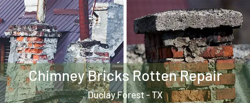 Chimney Bricks Rotten Repair Duclay Forest - TX