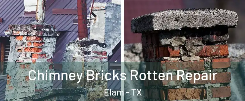 Chimney Bricks Rotten Repair Elam - TX
