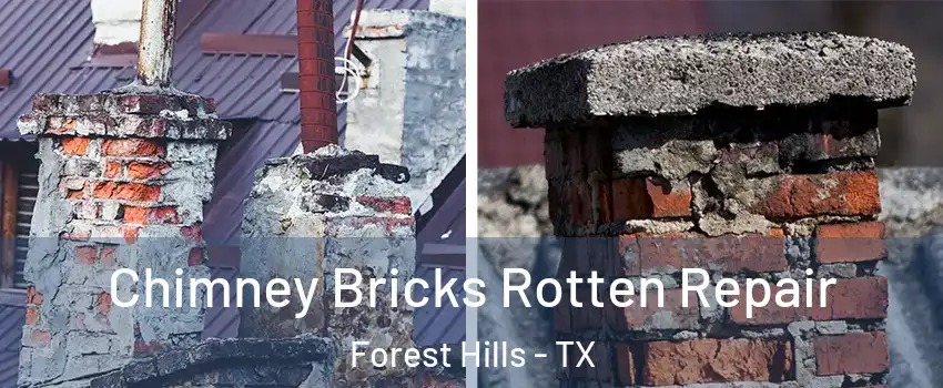 Chimney Bricks Rotten Repair Forest Hills - TX