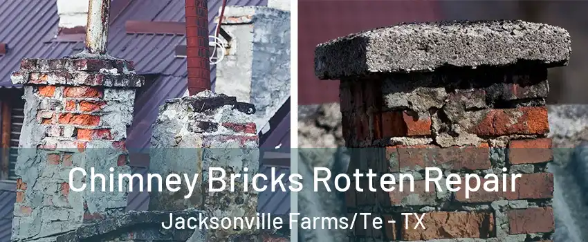 Chimney Bricks Rotten Repair Jacksonville Farms/Te - TX