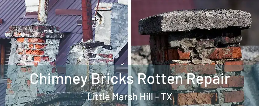 Chimney Bricks Rotten Repair Little Marsh Hill - TX