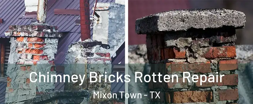 Chimney Bricks Rotten Repair Mixon Town - TX