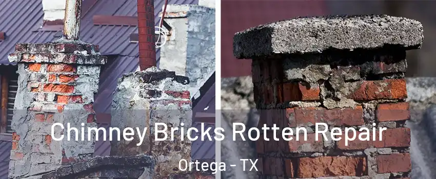 Chimney Bricks Rotten Repair Ortega - TX