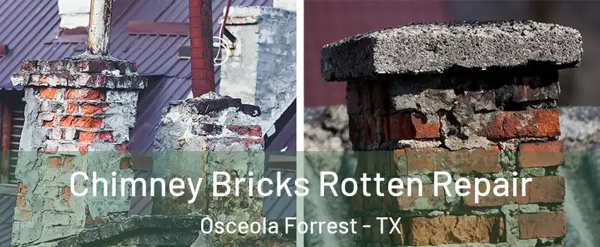 Chimney Bricks Rotten Repair Osceola Forrest - TX
