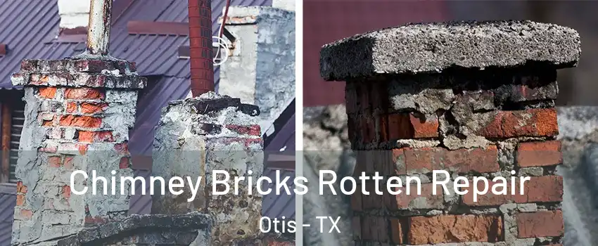 Chimney Bricks Rotten Repair Otis - TX