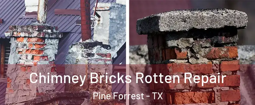 Chimney Bricks Rotten Repair Pine Forrest - TX
