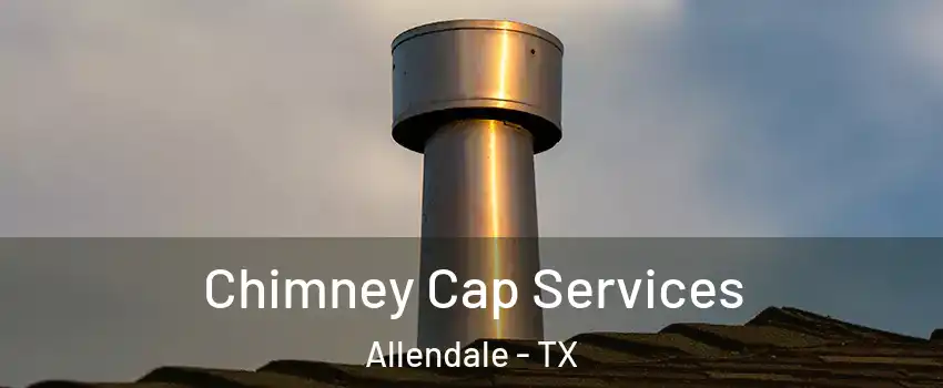Chimney Cap Services Allendale - TX
