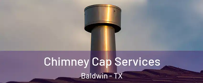 Chimney Cap Services Baldwin - TX