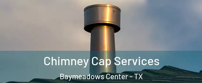 Chimney Cap Services Baymeadows Center - TX