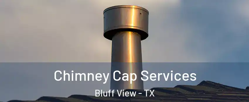 Chimney Cap Services Bluff View - TX