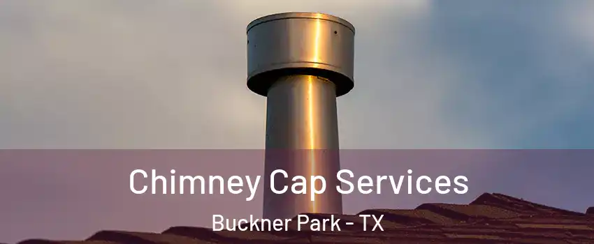 Chimney Cap Services Buckner Park - TX