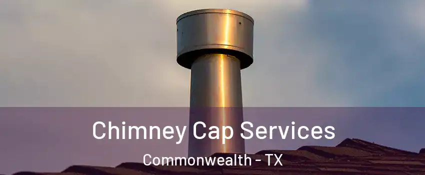Chimney Cap Services Commonwealth - TX