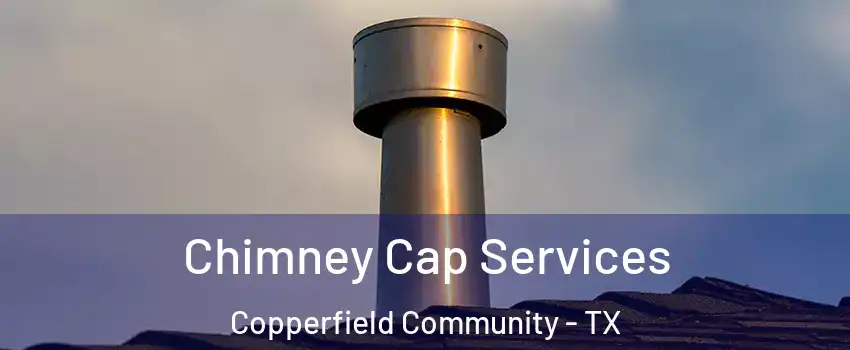 Chimney Cap Services Copperfield Community - TX