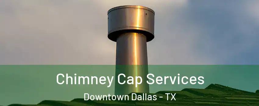 Chimney Cap Services Downtown Dallas - TX