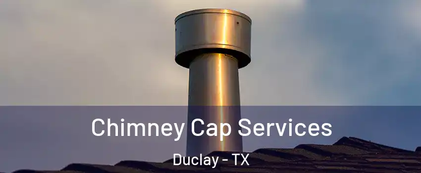 Chimney Cap Services Duclay - TX