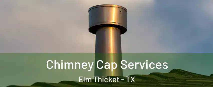 Chimney Cap Services Elm Thicket - TX