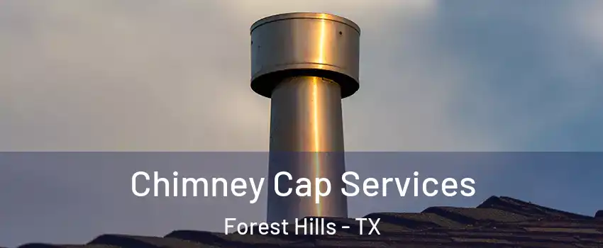Chimney Cap Services Forest Hills - TX
