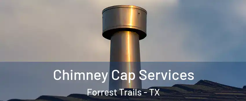 Chimney Cap Services Forrest Trails - TX