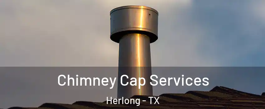 Chimney Cap Services Herlong - TX