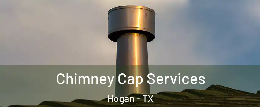 Chimney Cap Services Hogan - TX