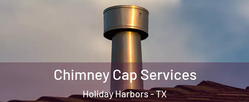 Chimney Cap Services Holiday Harbors - TX