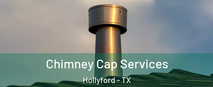 Chimney Cap Services Hollyford - TX