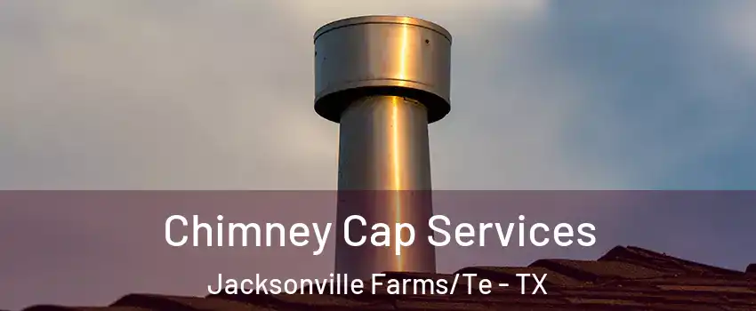 Chimney Cap Services Jacksonville Farms/Te - TX