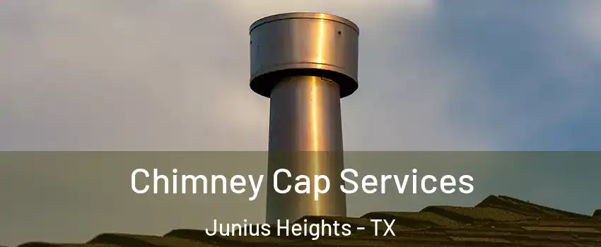 Chimney Cap Services Junius Heights - TX