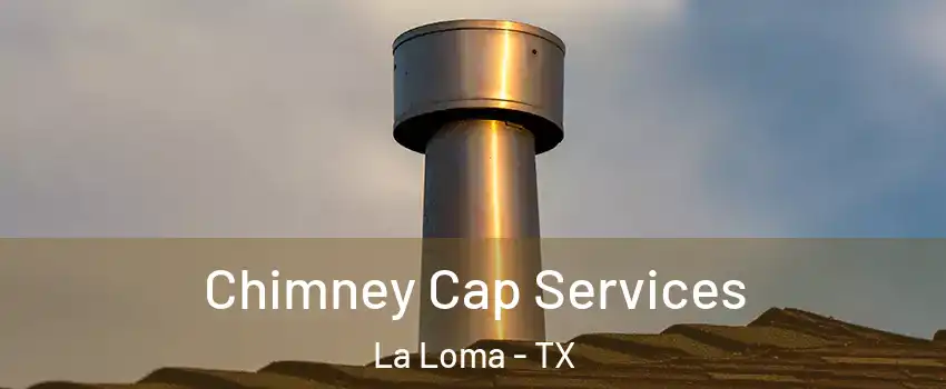 Chimney Cap Services La Loma - TX