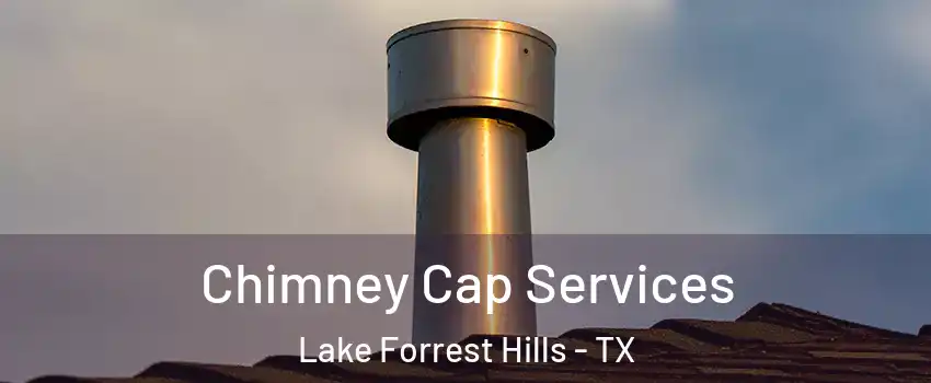 Chimney Cap Services Lake Forrest Hills - TX