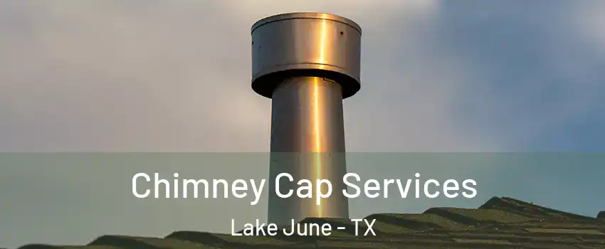 Chimney Cap Services Lake June - TX