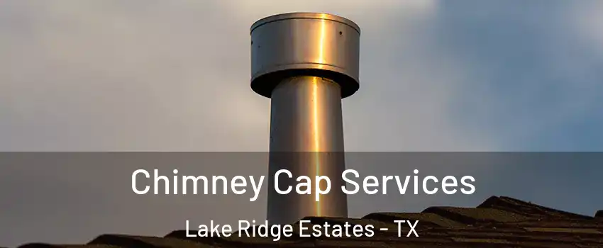 Chimney Cap Services Lake Ridge Estates - TX