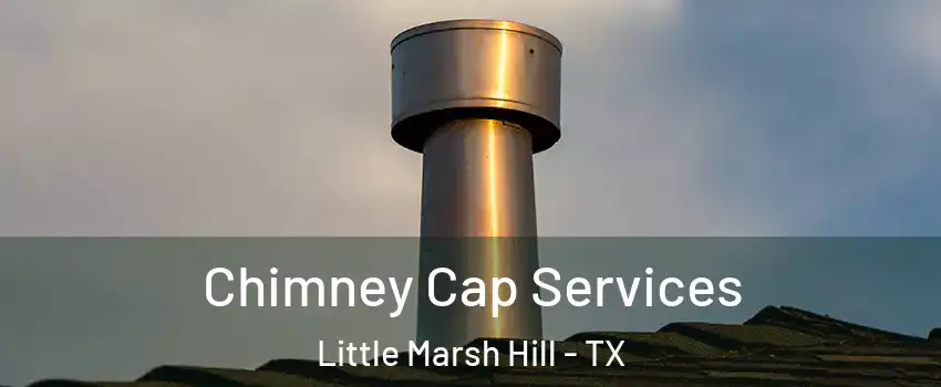 Chimney Cap Services Little Marsh Hill - TX