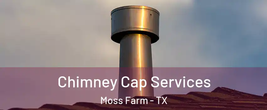 Chimney Cap Services Moss Farm - TX