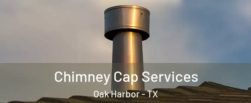 Chimney Cap Services Oak Harbor - TX
