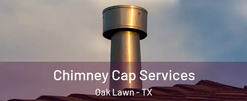 Chimney Cap Services Oak Lawn - TX
