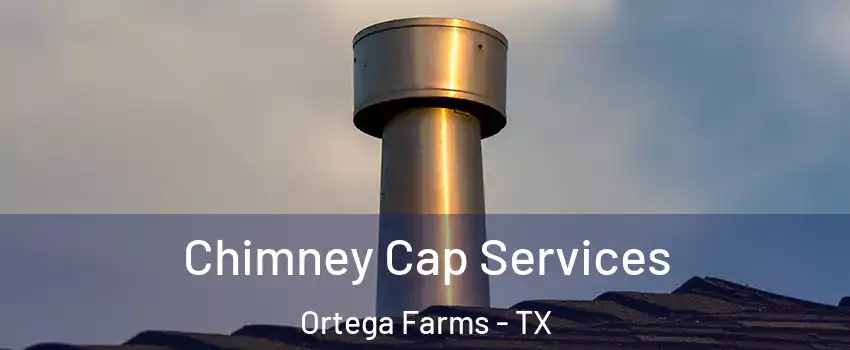 Chimney Cap Services Ortega Farms - TX
