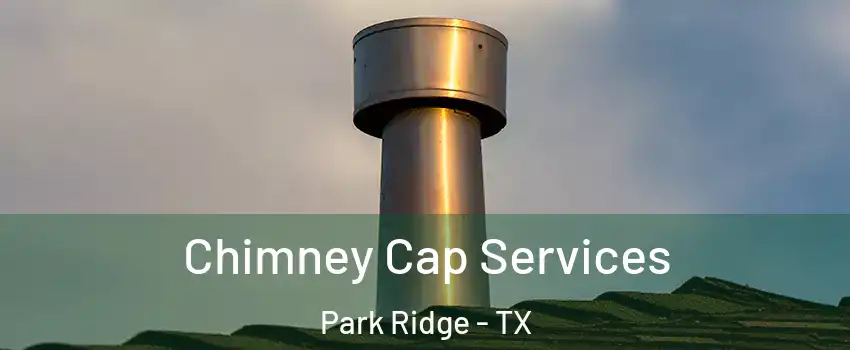 Chimney Cap Services Park Ridge - TX