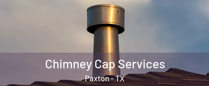 Chimney Cap Services Paxton - TX