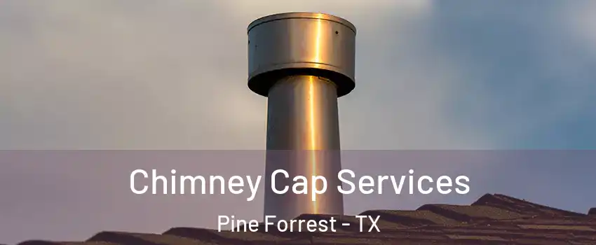 Chimney Cap Services Pine Forrest - TX
