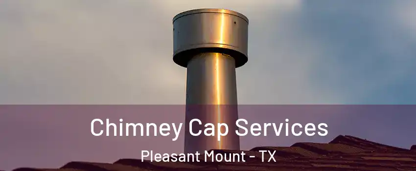 Chimney Cap Services Pleasant Mount - TX