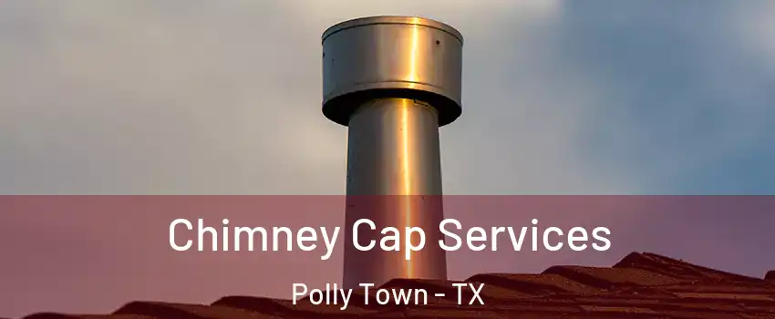 Chimney Cap Services Polly Town - TX