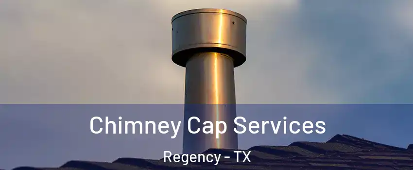 Chimney Cap Services Regency - TX