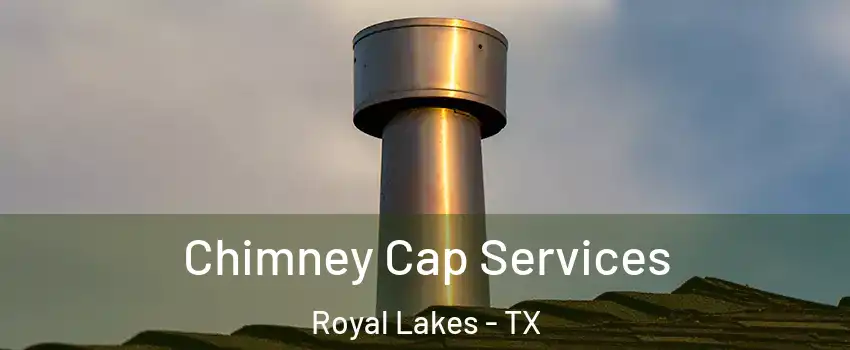 Chimney Cap Services Royal Lakes - TX