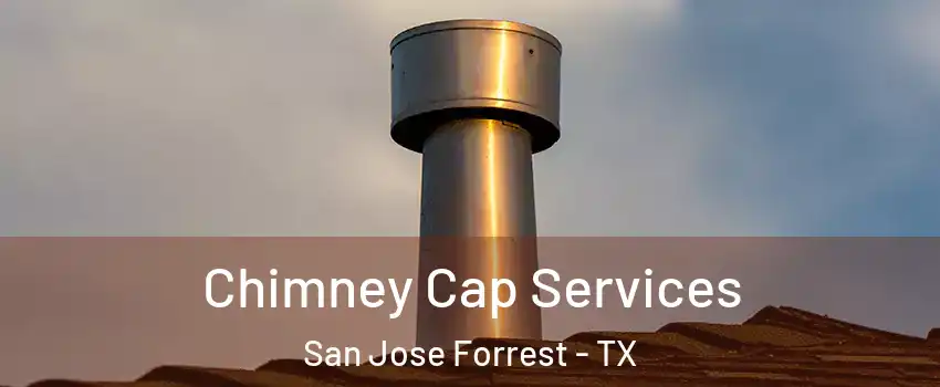 Chimney Cap Services San Jose Forrest - TX