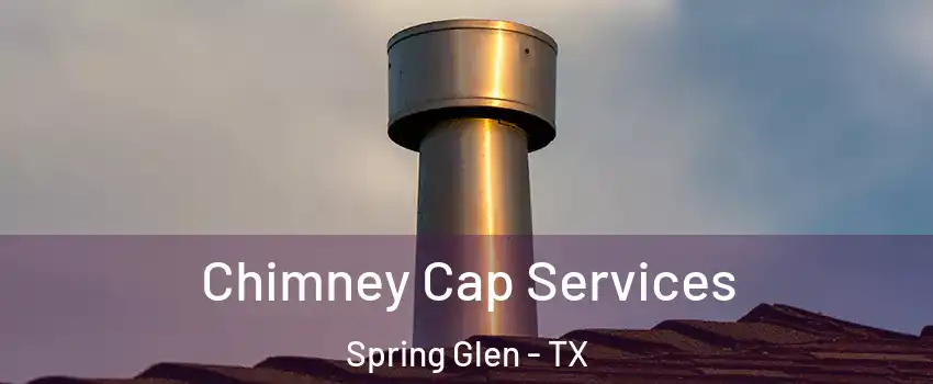 Chimney Cap Services Spring Glen - TX