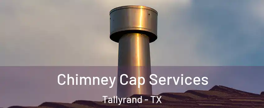 Chimney Cap Services Tallyrand - TX
