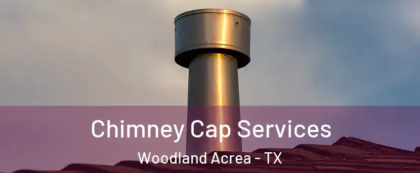 Chimney Cap Services Woodland Acrea - TX